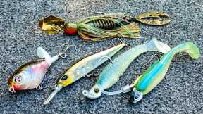 The Bass Fishing Trick You've Never Tried! Finesse Reaction Baits!
