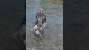 Big trout behind a log! #flyfishing
