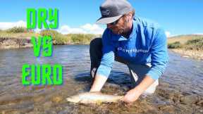 DRY VS EURO - fly fishing 1v1