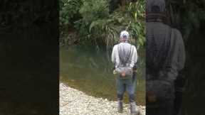 Slow dry fly take #flyfishing