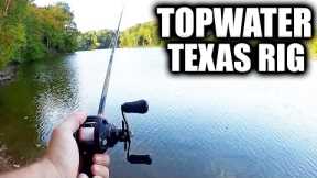 How To Fish TOPWATER Texas Rigs for Bass! (Fall Topwater Bass Fishing)
