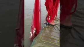 Most Satisfying Cast Net Fishing Video Catch with the morning glory 45