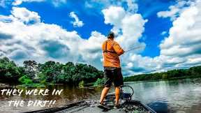 Fishing DIRT SHALLOW For SUMMER BASS In a MUDDY RESERVOIR!! || Late Summer Bass Fishing