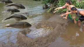 Survival Cooking: Build Traps Fish - Living Off Grid - Primitive Catch Fish
