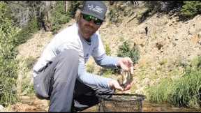 FLY FISHING WITH DRY FLIES