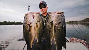 Fall Bass Fishing is FINALLY Here!