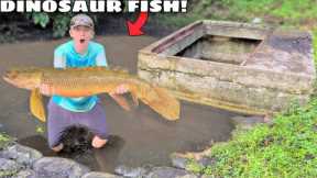 Catching PREHISTORIC Dinosaur Fish in the SEWER!