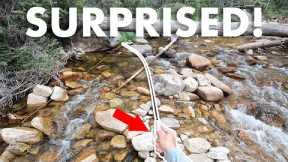 I Like This Cheap Rod More Than I Thought I Would (Tenkara Fly Fishing)