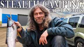 Stealth Camping Salmon Catch & Cook
