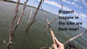 Where to locate and catch the biggest crappie in your local lake right now! Big fish tips!