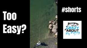 The easiest fly fishing ever #shorts