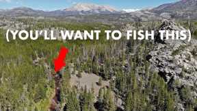 This River Was Amazing—and a Pain to Get To! (Tenkara Fly Fishing)