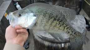 Crappie Fishing Lake Darbonne!!! (Livescope * Giant * Crappie)