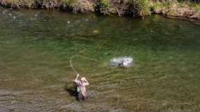 Amazing Day Fly Fishing | We Lost Count of the Trout we Caught!