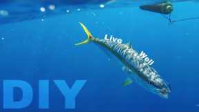 How to make a DIY live well, baitube, bait tank | Mackerel scad, Goggle eyes, and Ballyhoo
