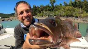 Overnight solo boat camping gale force wind turns into lots of fish - Catch and Cook - EP.572