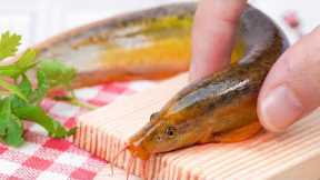 Fishing and Cooking Fried Fish in Miniature Kitchen | How To Cook Mini Food | Tiny Cooking ASMR
