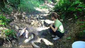 The girl catch a lot of fish in the wild lake by using a large pump to suck up the shallow water