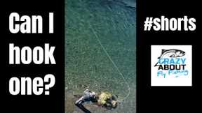 Surely I must hook a trout? #shorts