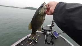 Bass Fishing Lake James **More Rain**