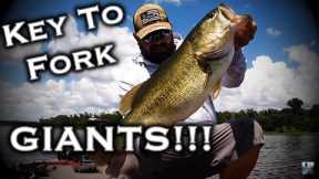 The Best Lake Fork Bass Fishing Tip For 2022!!! How To Fish The Best Structure Like A Pro Angler!