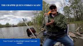 Crappie Fishing Weiss Lake! Part 1!