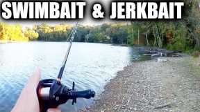 Fall Fishing Lures for Bass - Keitech Swimbait and Jerkbait Minnow!