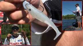 Fall Structure Bass Fishing | Bass Fishing
