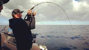 Anchor + Burley Gets The Fish - Fishing CATCH and COOK -