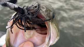 Lake of the Ozarks Fishing Report, October 25, 2022.
