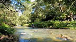 Catching Brown Trout on an Amazing River!