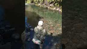 How a trout can break your heart #shorts