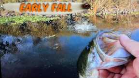 California Delta Bass Fishing.(FALL TRANSITION)