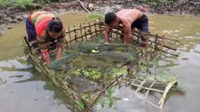 FULL 180 Days: Living Find Fish And Catch Lots Of Fish - Survival Food With Cooking Fish