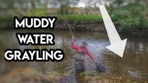 Grayling Fly Fishing In Coloured River Water