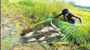 Catch Big Fish And Cooking Fish || Primitive Technology || Machli pakadne ka Tarika || Net Fishing