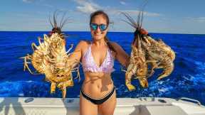 DIVING after HURRICANE! 1000s of LOBSTERS Migrating! Catch, Clean & Cook!