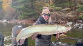 BIG NEWS (4 Fall Muskies)