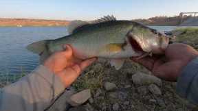 Fresno Bass Fishing(Eastman Lake)