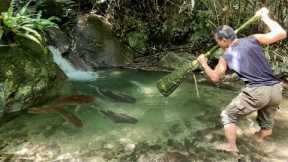 Survival Alone Catch fish and Cook Survival - Survival Adventures