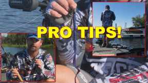 Fall Worm Bass Fishing Tips | Bass Fishing