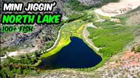 They Wanted Mini Jigs | North Lake Trout Fishing | Bishop,CA