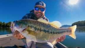 Fall Bass Fishing: Trick To Target Offshore And Suspended Bass!