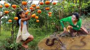 Mother with daughter catch Eel and pick natural fruit in forest- Cooking eel eating delicious