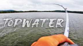 Fishing for Fall Bass with Topwater! (Lake Guntersville)