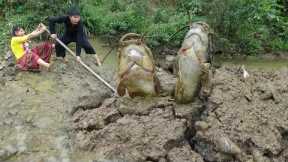 Top 1 Fishing Video Catch A Lot Of Fish, Fishing Catch Big Fish Cooking Fish, Survival Bushcraft
