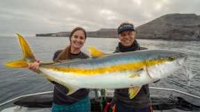 GIANT Yellowtail! FISH of a LIFETIME! Catch, Clean & Cook! California Fishing!