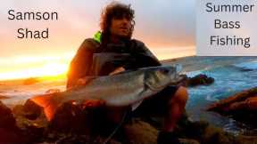 Summer Bass Fishing With Lures 2022 - The Samson Shad (Part 1)
