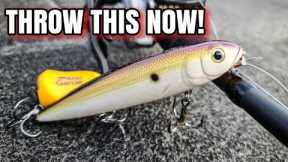This Lure CRUSHED Fall Bass! (Topwater Bass Fishing)