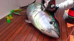TUNA! Catch, Clean, Cook and EAT!!!! Gabriella's Quepos, Costa Rica